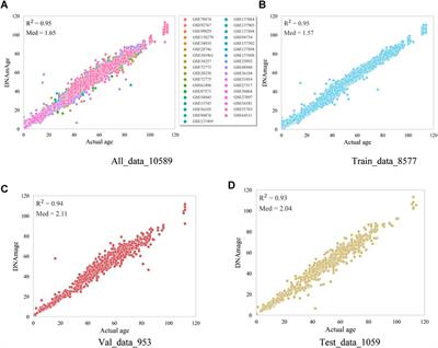 A multi-organization epigenetic age prediction based on a channel attention perceptron networks